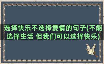 选择快乐不选择爱情的句子(不能选择生活 但我们可以选择快乐)